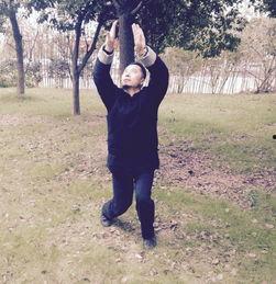 八卦掌招式图,探寻古老武术的奥秘与魅力